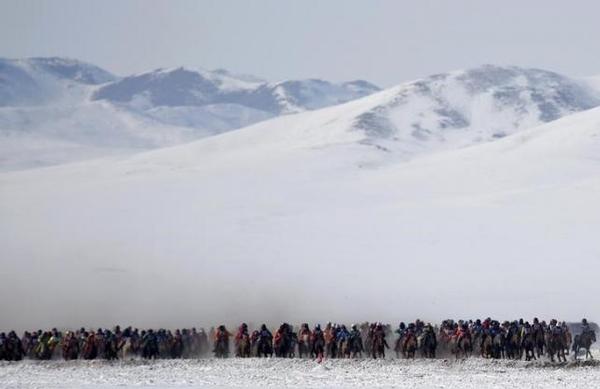 Aid agencies brace for devastating Mongolian 'dzud' this winterPhoto: Rentsendorj Bazarsukh
