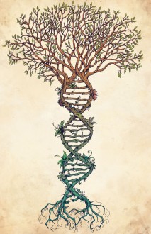 Healing the Hijacked Mind - The Tree Of Life
