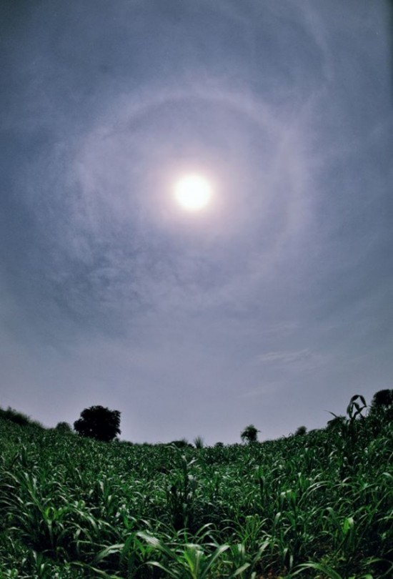 Abhinav Singhai captured this halo above wheat fields.  Visit Abhinav Singhai's Flickr page