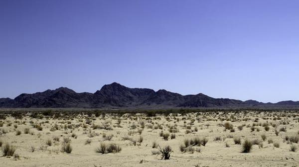 The Mule Mountains, with many sites and trails sacred to the Mohave people. The foreground may be filled with solar panels in a couple years. (Photo: Chris Clarke)