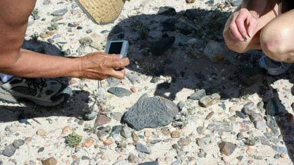 Examining evidence of stone tool working on the Imperial Solar site in 2010. (Photo: Chris Clarke)