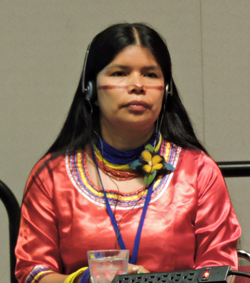 Patricia Gualinga, director of International Relations for the Kichwa community of Sarayaku in Ecuador. (Maria Clara Valencia)