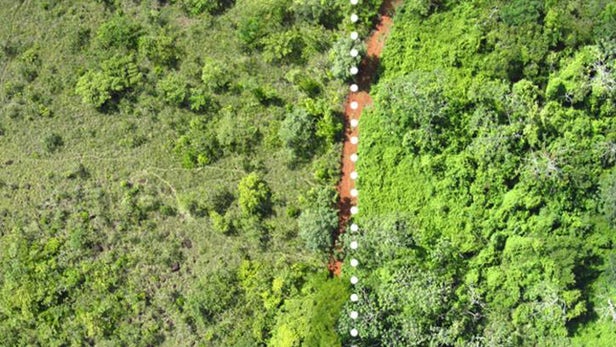 On the right is the lush forest that was loaded with orange peel waste and on ...