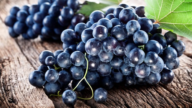 The polyphenols found in grapes could be the key