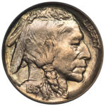 A 1913 F 'Liberty' Indian Head Nickle