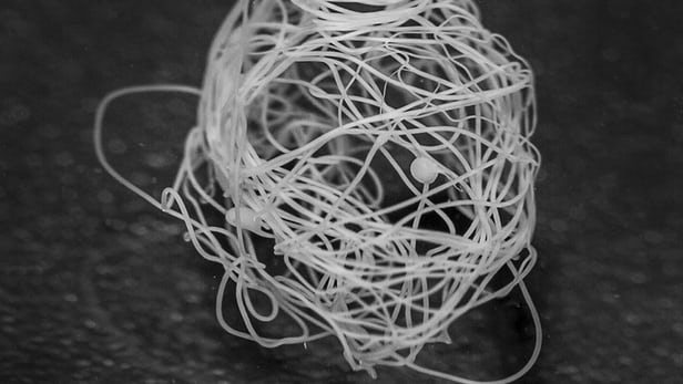 A new process developed by Swedish researchers using bacteria and spider silk proteins that mimics natural...