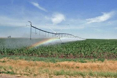 irrigation-sprinkler-large (1).jpg