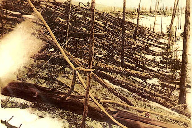 Some of the 80 million-odd trees knocked over by the mighty Tunguska event, which flattened a...