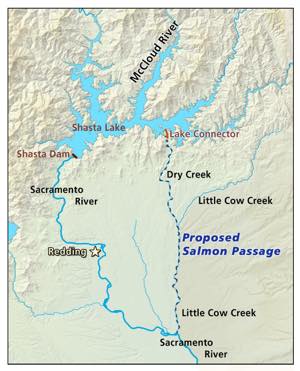 A map of the Winnemem Wintus proposed swimway for the salmon to travel around Shasta Dam. 