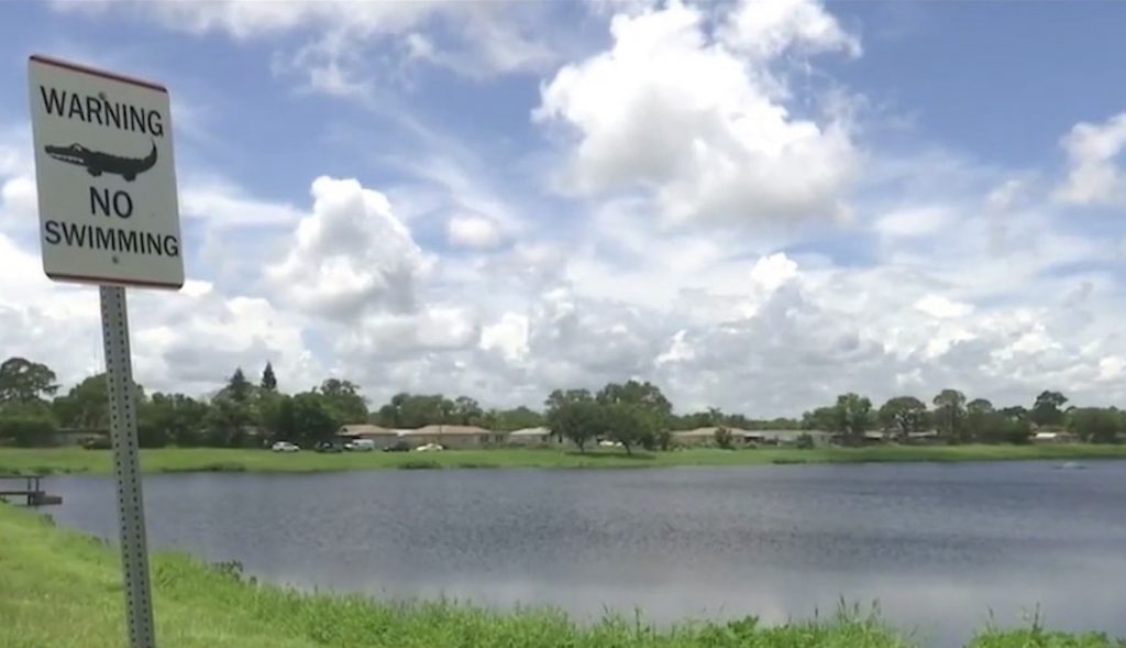 Police said no charges can be filed against five teenagers who not only did nothing to assist a disabled man who was crying for help in a Florida pond (pictured) earlier this month, but they also videotaped him drown and taunted and laughed at him in the process. (Image source: WKMG-TV video screenshot)