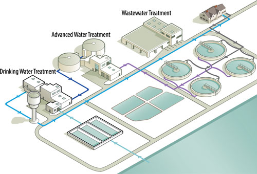 Diagram of direct potable reuse cycle. Image courtesy of the Water Research Foundation.