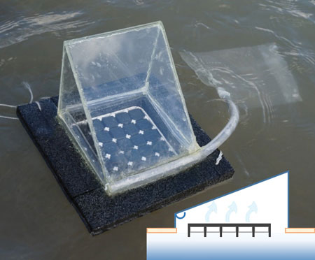 A low-cost solar still developed by researchers at SUNY Buffalo sits in a body of water. Photo courtesy SUNY Buffalo.