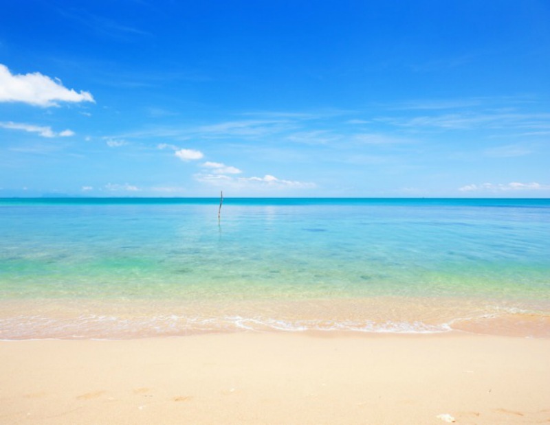 The beach and sea. Image via Shutterstock/Ozerov Alexander 