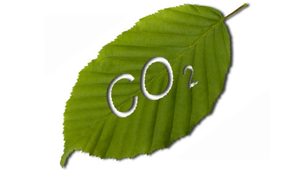 Inspired by the leaf, researchers have developed a molecule that uses sunlight to convert CO2 into...